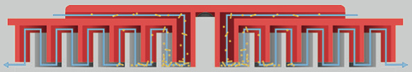 filtr