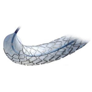 Elixir DESyne™ stent